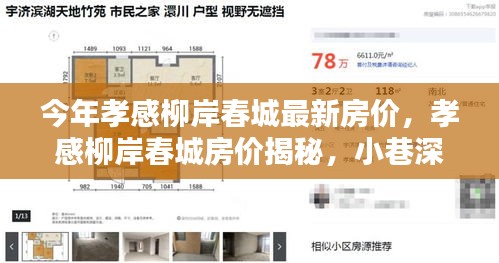 孝感柳岸春城最新房价揭秘，小巷风情与房价探秘