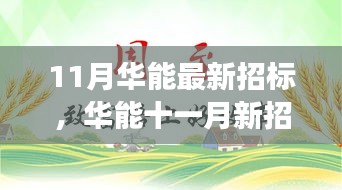 华能最新招标背后的温馨日常小故事揭秘，十一月华能的温暖时刻