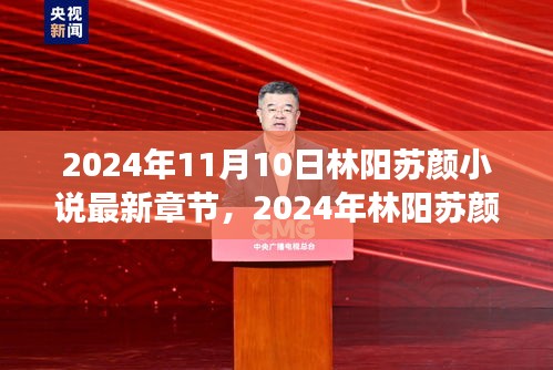 林阳苏颜小说最新章节揭秘，情感与命运的碰撞（2024年11月10日）