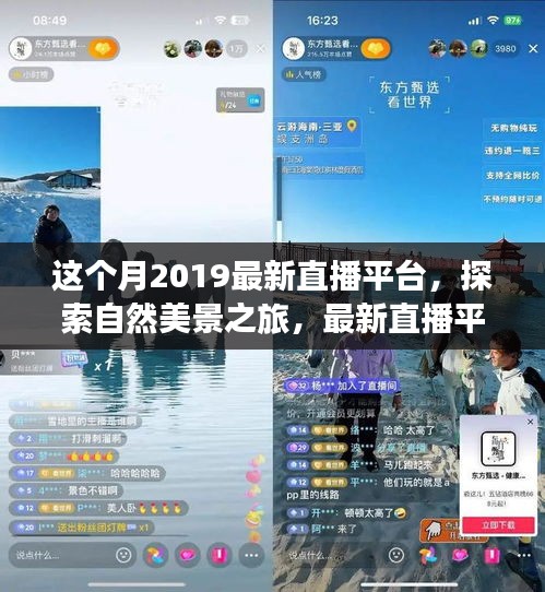 探索自然美景之旅，最新直播平台带你领略自然魔法与艺术，寻找内心平静