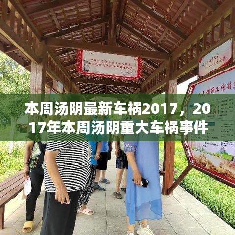 2017年汤阴本周重大车祸事件深度解析