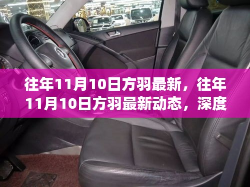 往年11月10日方羽最新动态深度解读与影响分析