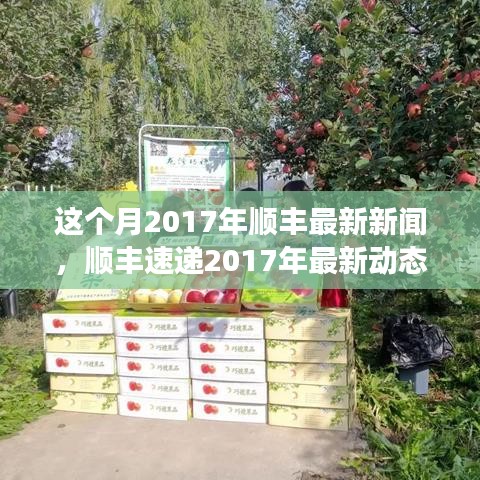 顺丰速递2017年最新动态，紧跟时代步伐，高效物流服务体验指南