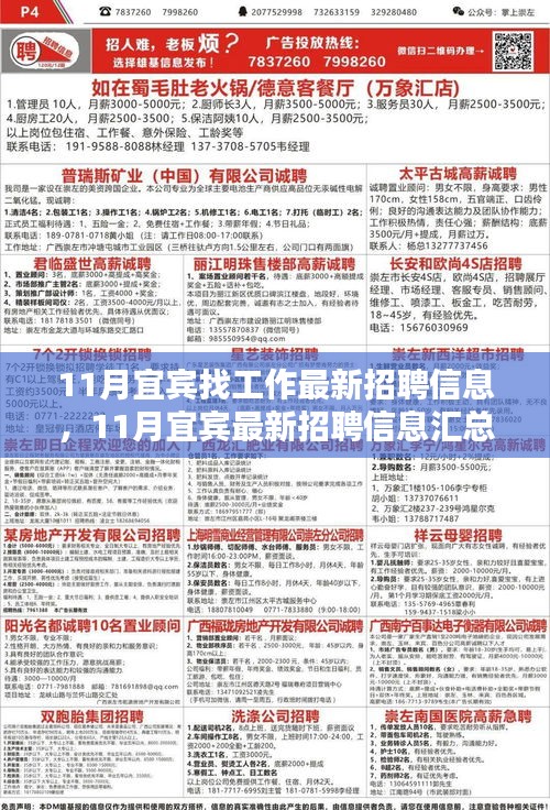 宜宾最新招聘汇总，11月求职者的福音