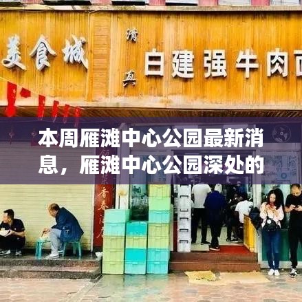 雁滩中心公园深处揭秘，特色小店故事与最新动态