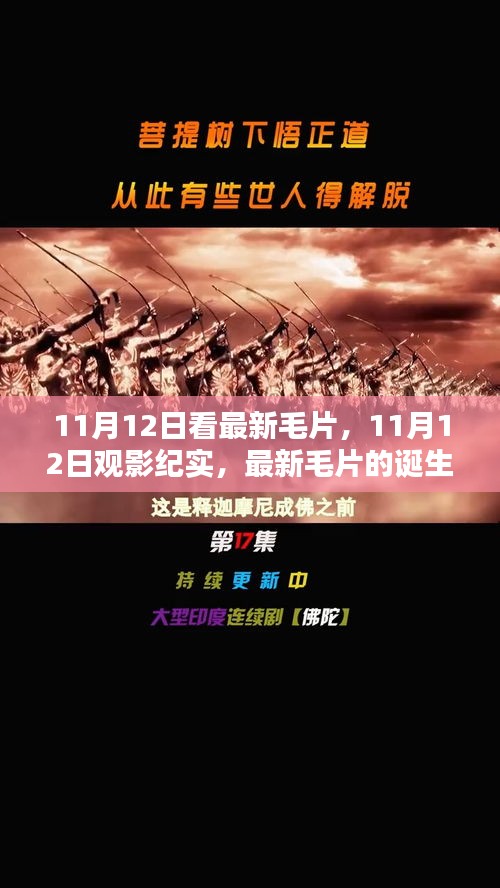 11月12日观影纪实，最新毛片的诞生、影响与时代地位