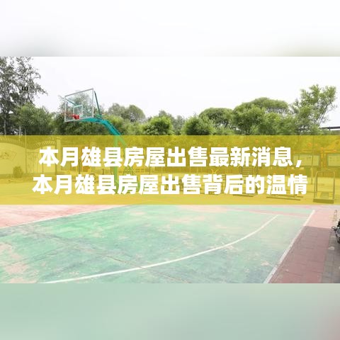 本月雄县房屋出售最新动态，温情故事与理想家园的寻觅之旅