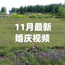 零基础也能轻松搞定，最新婚庆视频制作全攻略