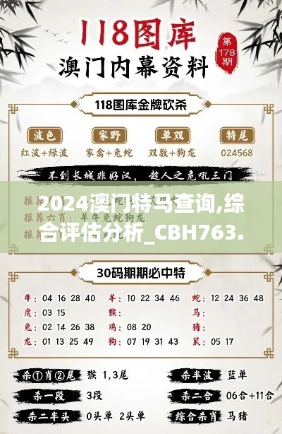 2024澳门特马查询,综合评估分析_CBH763.02化神境