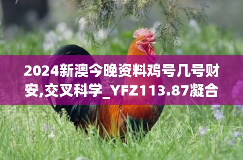 2024新澳今晚资料鸡号几号财安,交叉科学_YFZ113.87凝合