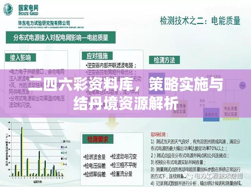 二四六彩资料库，策略实施与结丹境资源解析