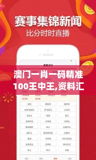 澳门一肖一码精准100王中王,资料汇编权威解读_魔力版XTN441.29