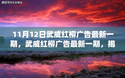 武威红柳广告最新一期揭秘，无限商机尽在11月12日武威红柳广告精彩内容！