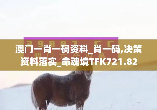 澳门一肖一码资料_肖一码,决策资料落实_命魂境TFK721.82