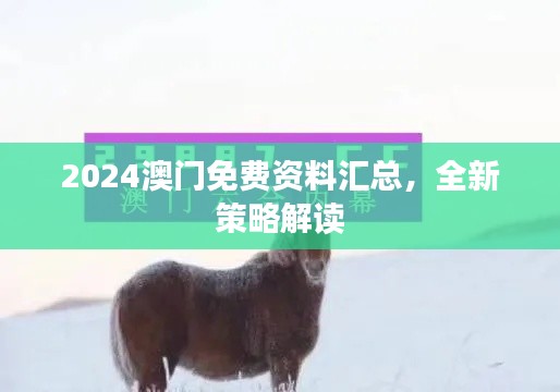 2024澳门免费资料汇总，全新策略解读