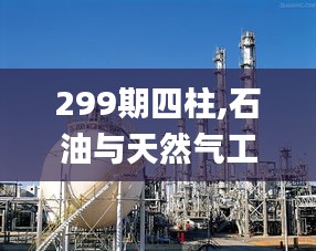 299期四柱,石油与天然气工程_DAO697.46圣之道