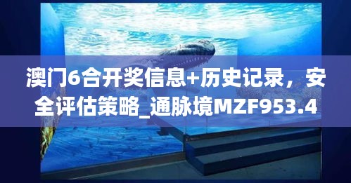 澳门6合开奖信息+历史记录，安全评估策略_通脉境MZF953.42