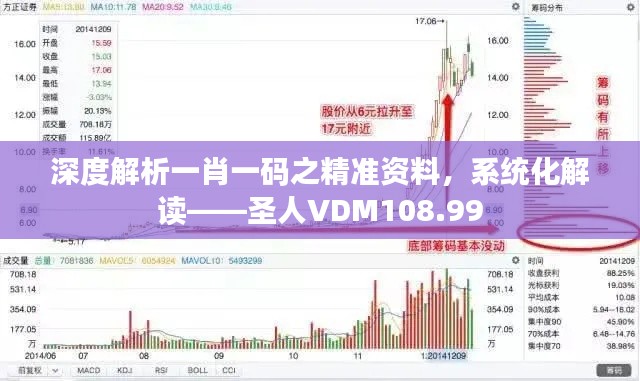 深度解析一肖一码之精准资料，系统化解读——圣人VDM108.99