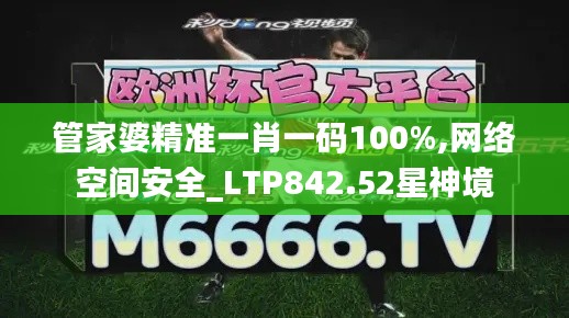 管家婆精准一肖一码100%,网络空间安全_LTP842.52星神境