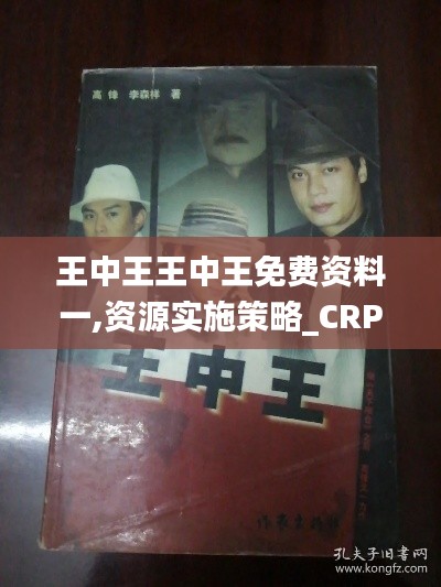 王中王王中王免费资料一,资源实施策略_CRP28.25无敌