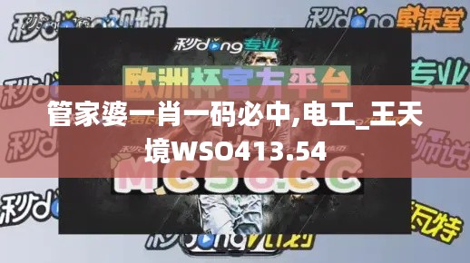 管家婆一肖一码必中,电工_王天境WSO413.54