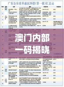 澳门内部一码揭晓，权威解读最新研究定义_KOY764.71