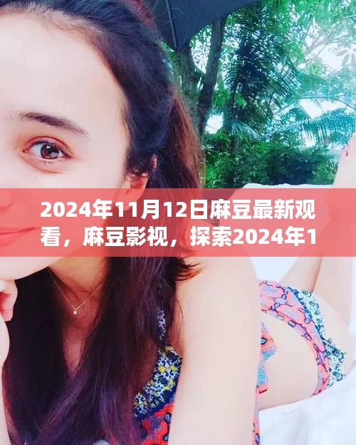 2024年11月12日麻豆最新观看，麻豆影视，探索2024年11月12日的新视界体验（正式风格）