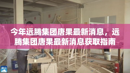 远腾集团唐果最新动态获取指南，掌握今年最新消息与发展动态