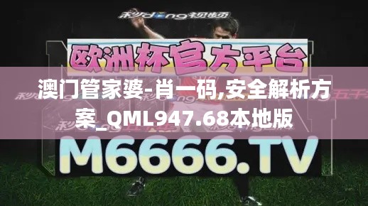 澳门管家婆-肖一码,安全解析方案_QML947.68本地版