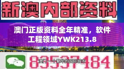 澳门正版资料全年精准，软件工程领域YWK213.8