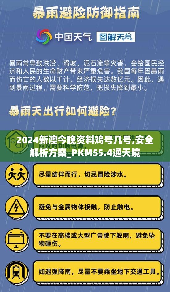 2024新澳今晚资料鸡号几号,安全解析方案_PKM55.4通天境