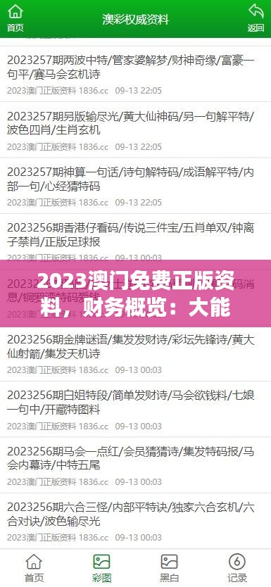 2023澳门免费正版资料，财务概览：大能NSY 992.85