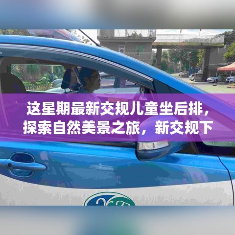 新交规下儿童坐后排，自然之旅重拾宁静与欢笑体验