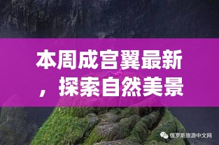 虎视眈眈 第23页