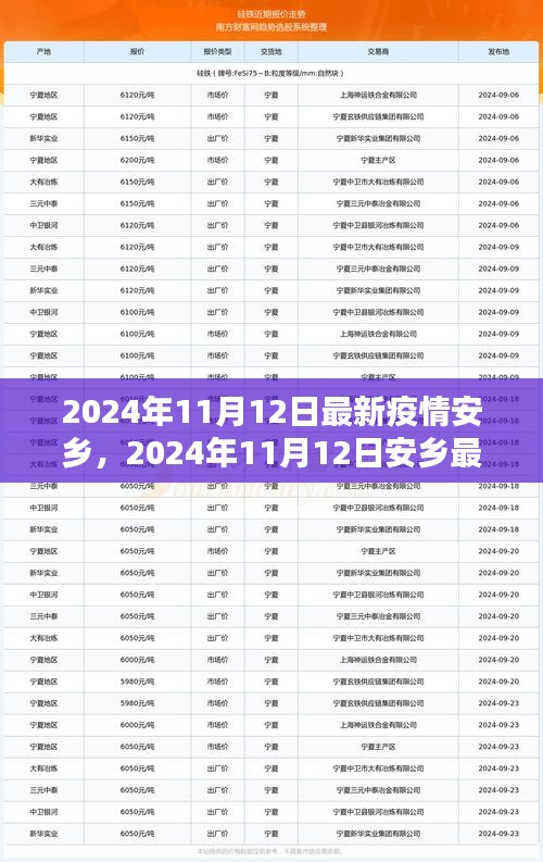 2024年11月12日安乡最新疫情动态及防控措施分析报告