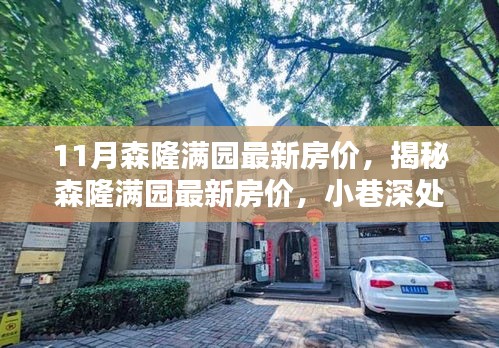 揭秘森隆满园最新房价与小巷深处的特色小店，魅力探索之旅