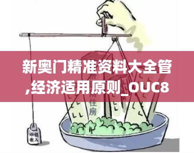 新奥门精准资料大全管,经济适用原则_OUC803.58挑战版