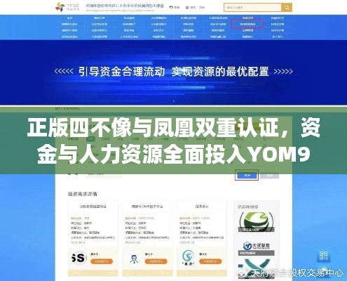 正版四不像与凤凰双重认证，资金与人力资源全面投入YOM933.38版