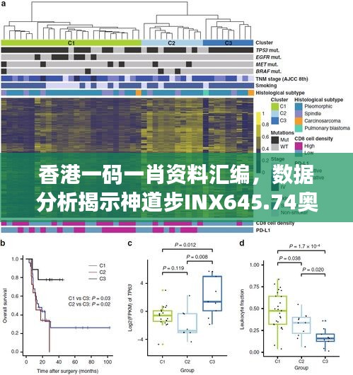 香港一码一肖资料汇编，数据分析揭示神道步INX645.74奥秘