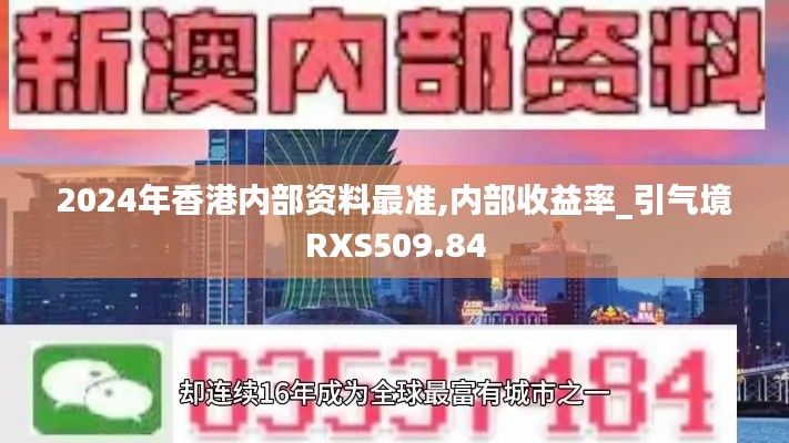 2024年香港内部资料最准,内部收益率_引气境RXS509.84