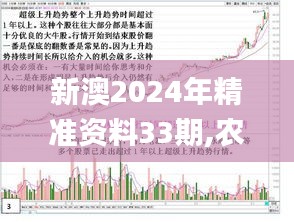 新澳2024年精准资料33期,农业工程_JFL724.56神念境