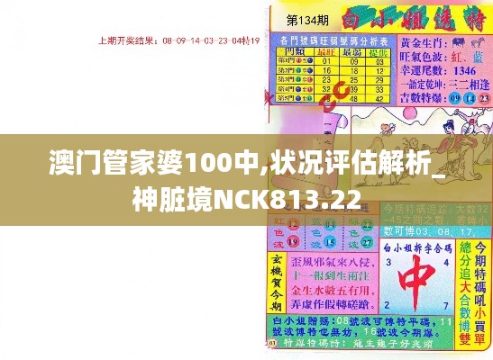 澳门管家婆100中,状况评估解析_神脏境NCK813.22