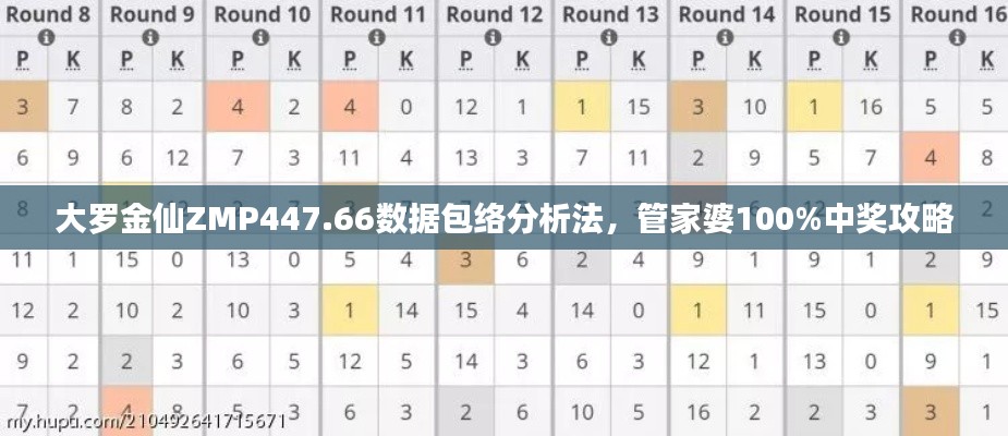 大罗金仙ZMP447.66数据包络分析法，管家婆100%中奖攻略