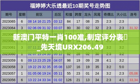 新澳门平特一肖100准,制定评分表‌_先天境URX206.49