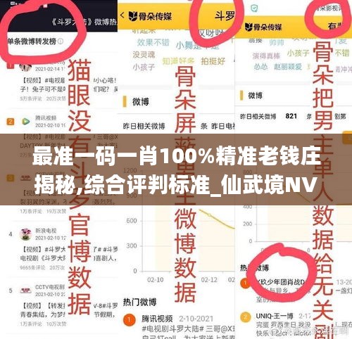 最准一码一肖100%精准老钱庄揭秘,综合评判标准_仙武境NVI214.42