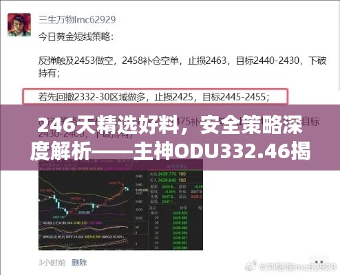 246天精选好料，安全策略深度解析——主神ODU332.46揭秘