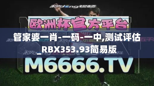 管家婆一肖-一码-一中,测试评估_RBX353.93简易版