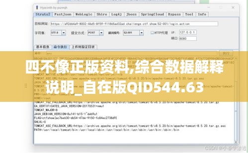 四不像正版资料,综合数据解释说明_自在版QID544.63