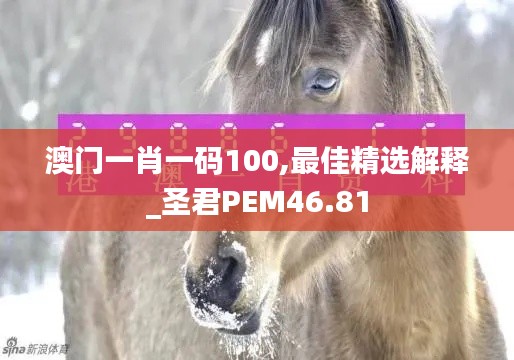 澳门一肖一码100,最佳精选解释_圣君PEM46.81