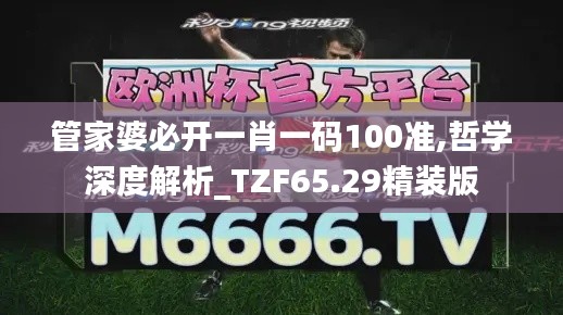 管家婆必开一肖一码100准,哲学深度解析_TZF65.29精装版